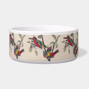 Écuelle Audubon Peint Bunting Bird Wildlife