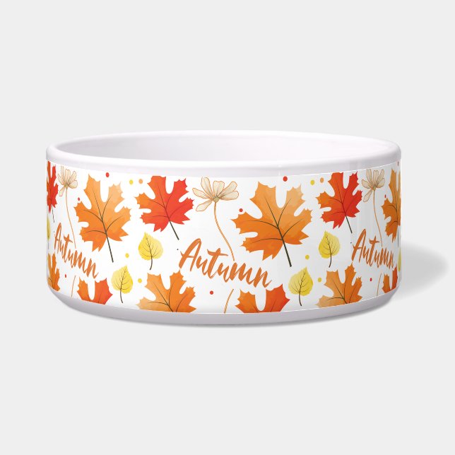 Écuelle Automne Feuillage Automne Feuilles Automne (Devant)