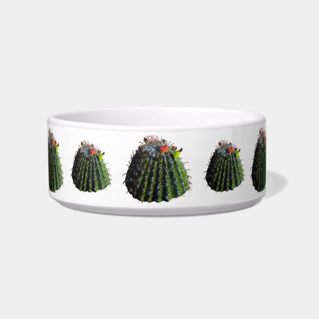 Écuelle Baril Cactus Pet Bowles (Devant)