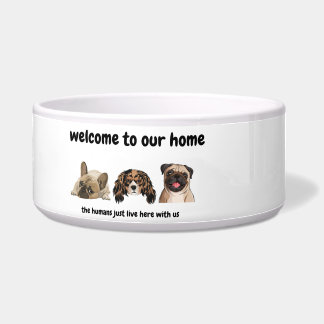 Écuelle Bienvenue chez le chien - bol de chien amusant