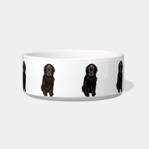 Écuelle Black Lab Beauty Medium Pet Bowl