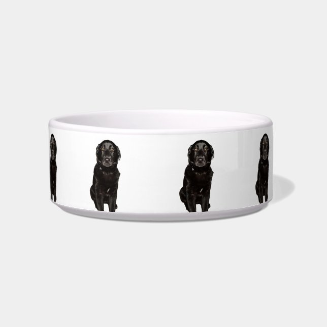 Écuelle Black Lab Beauty Medium Pet Bowl (Devant)