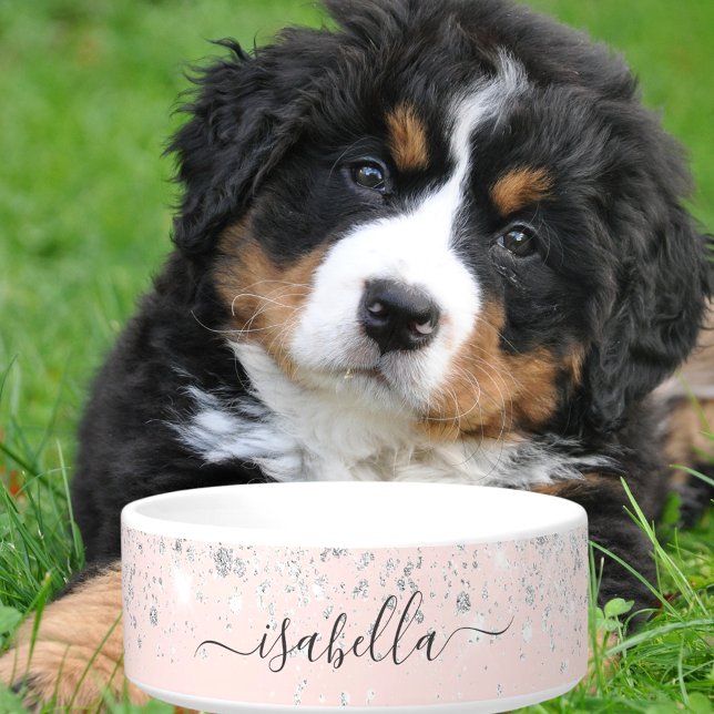 Écuelle Blush rose rose or argent parties scintillant nom  (Créateur téléchargé)