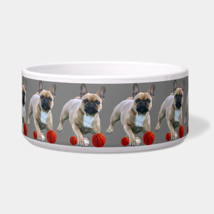 Écuelle Bol à nourriture pour Bouledogues Français