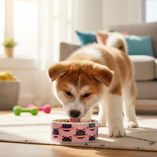 Écuelle Bol de chat de la planète (Créateur téléchargé)