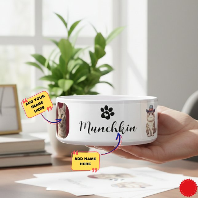 Écuelle Bol de chat Munchkin personnalisé avec nom et conc (Custom Munchkin Cat Bowl with Name & Breed Design)