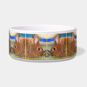 Écuelle Bol de lapin de Cptn Carrotpants