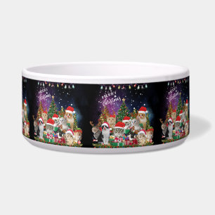Écuelle Bol de Lumière Joyeux Noël pour Chats