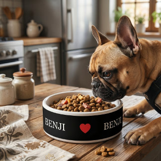 Écuelle Bol en céramique personnalisé pour animaux de comp