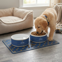 Bol personnalisé pour animaux de compagnie, bol po