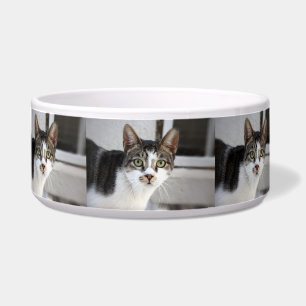 Écuelle Bol pour chat