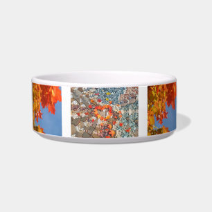 Écuelle Bol pour eau de nourriture pour animaux de compagn