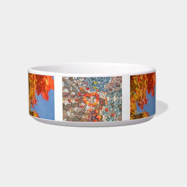 Écuelle Bol pour eau de nourriture pour animaux de compagn (Devant)