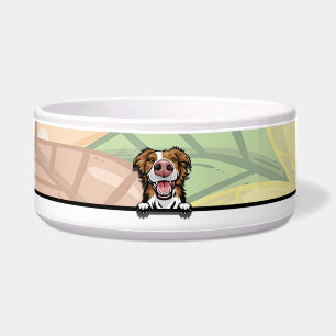 Écuelle Border Collie mignon qui regarde, nourriture ou bo