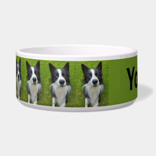Écuelle Bordure Collie