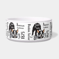 Boston Terrier. Heureux de devenir chanceux