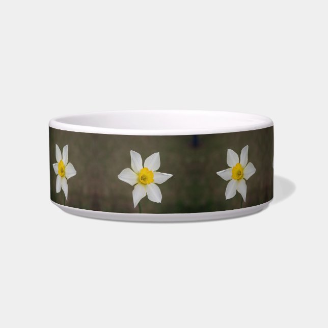 Écuelle Bowl de chat de printemps (Gauche)