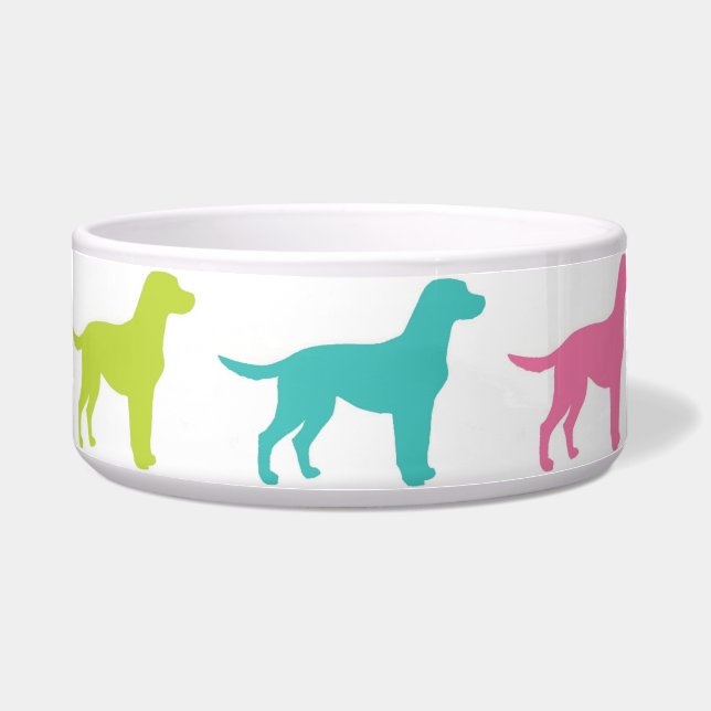 Écuelle Bowl Rainbow Labrador (Devant)