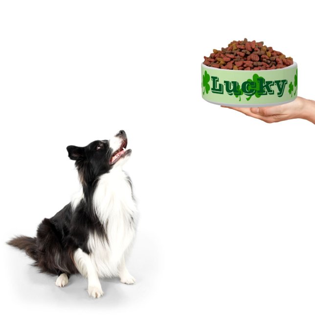 Écuelle Bowl shamrock de girofle vert irlandais (One lucky dog! treat your pet with a personalized bowl)