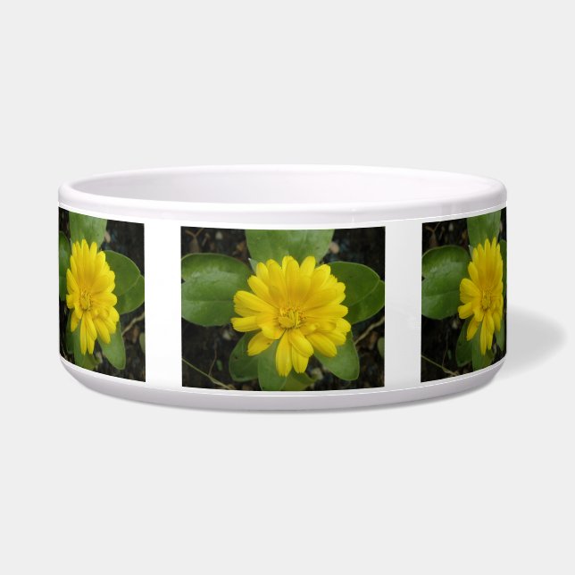 Écuelle Bright Yellow Marigold Chig Bowl (Devant)