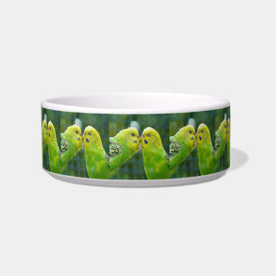 Écuelle Budgie_2015_0604