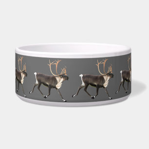 Écuelle Bull Caribou