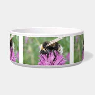 Écuelle Bumblebebe sur un bol de chien chardon