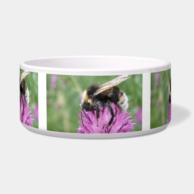 Écuelle Bumblebebe sur un bol de chien chardon (Devant)