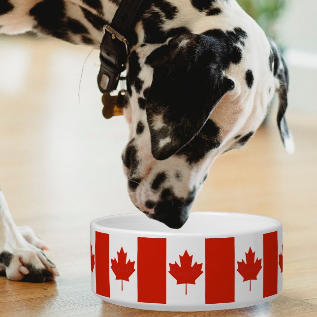 Écuelle Canada Rouge Blanc drapeau canadien Feuille d'érab (Canada Canadian flag pattern pet bowl)