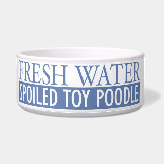 Écuelle caniche de jouet corrompu