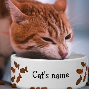 Écuelle Cat Biscuit Traite les Crunchies amusantes avec Ki