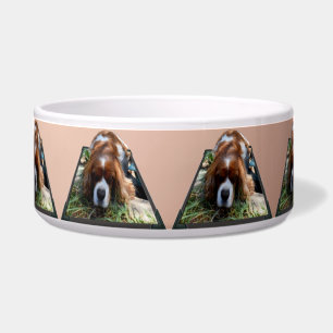 Écuelle Cavalier Spaniel Popout Art,