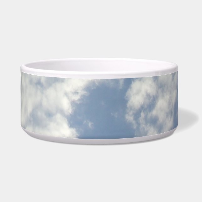 Écuelle Ceramic Pet Bowl art style design (Devant)