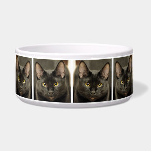 Écuelle Chat Noir
