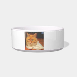Écuelle Chat tigré orange