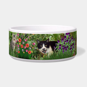 Écuelle Chats dans le collage de photos de jardin de fleur