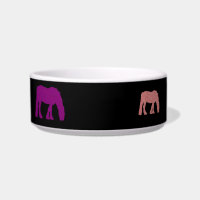 Cheval mangeant la cuvette debout d'animal