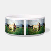 Écuelle Chevaux/Cabalos/Horses (Dos)
