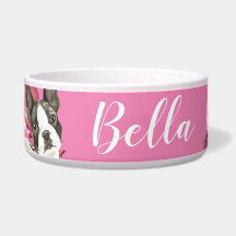 Chien de Boston Terrier