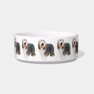 Écuelle Chien de collie barbu