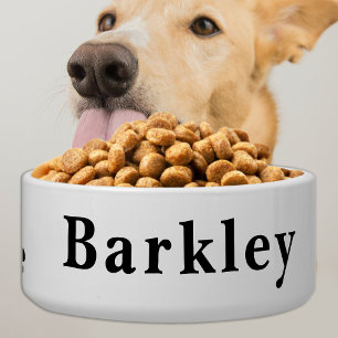Écuelle Chien de compagnie classique Alimentation personna
