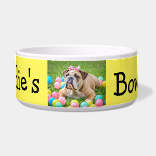 Écuelle Chien fait sur commande personnalisé de couleur d