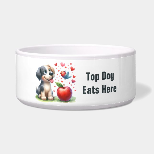 Écuelle Chien - Gros Bowles pour animaux de compagnie (Devant)