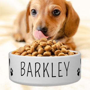 Écuelle Chien simple animal de compagnie Alimentation pers