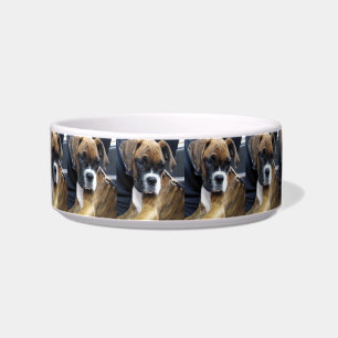 Écuelle chiot boxer assiette pour chien