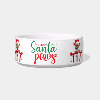 Écuelle Christmas Dog Bowl
