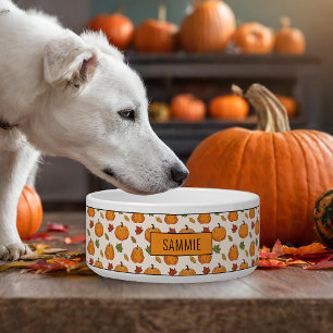 Écuelle Citrouille Et Coloré Feuilles D'Automne Motif Et N