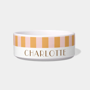 Écuelle Coloré Style Clair Couleur Minimaliste