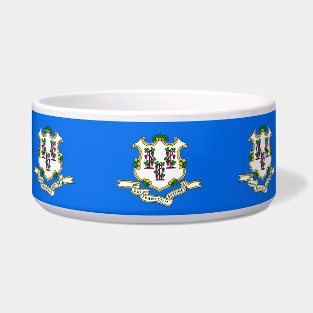 Écuelle Connecticut State Flag Pet Bowl (Gauche)