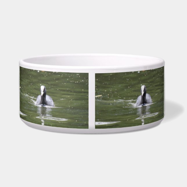 Écuelle Coot Swimming Dog Bowl (Dos)